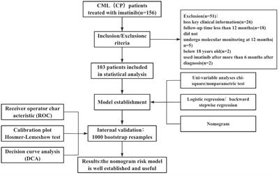Development and validation of a nomogram to predict poor efficacy of imatinib in the treatment of newly diagnosed chronic phase chronic myeloid leukemia patients
